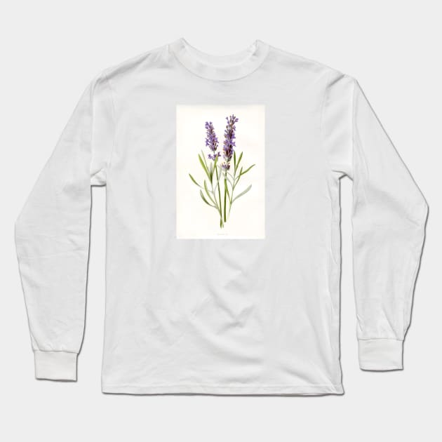 Vintage Lavender Botanical Print Long Sleeve T-Shirt by OddPop